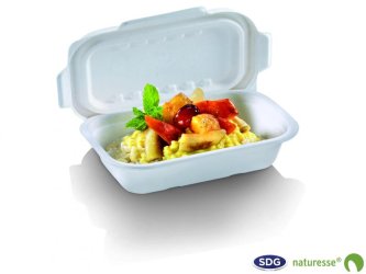 Take-away tray in cellulose pulp 1000ml, 230x155x57mm - N396