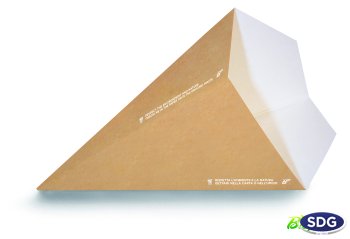 GRANDE ETUIE CONE POUR FRITES TAKE AWAY COMPOSTABLE 624-65