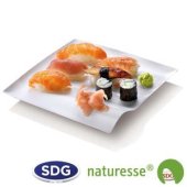 Cellulose pulp square plate in 15x15 cm - "Finger Food" line - N133 ex 421/P