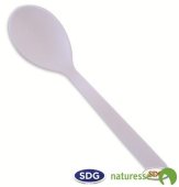 CPLA Standard tea-spoon - N269