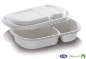 Cellulose pulp Tray two sections with removable lid 690 ml 24 x 15,5x 4 cm - 5364