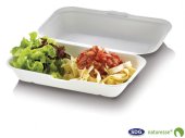 Food Box in cellulose pulp 23,5 x 19,5 x 7,5 cm - 3463