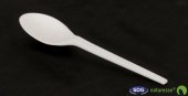Dessert spoon in CPLA - N803 - N808